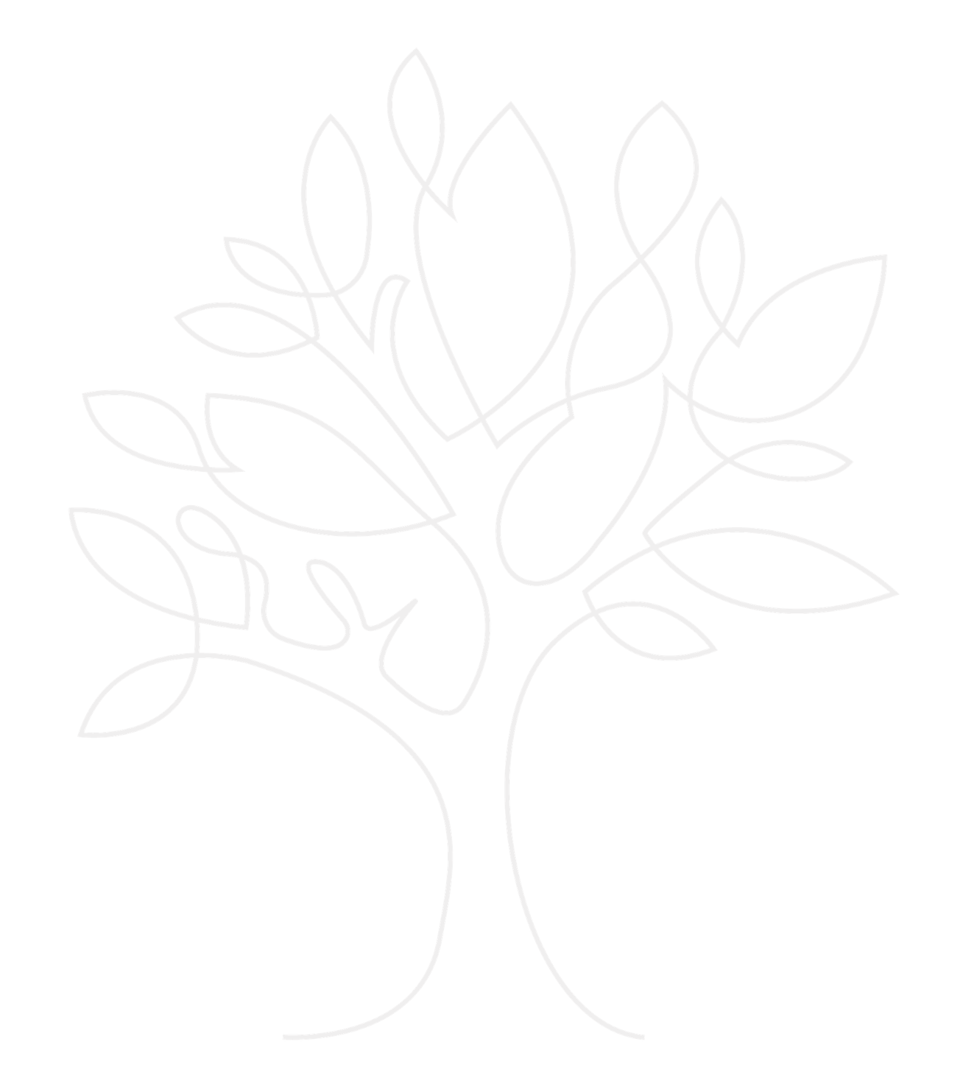 baobab